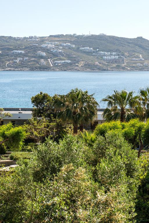 Orpheas Rooms Mykonos Town Exterior foto